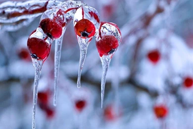 Frozen Christmas Mac   HD Wallpapers Blog