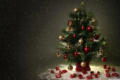 Small Christmas Tree HD Desktop Wallpapers : High Definition ...