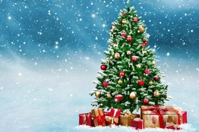 Christmas Tree   Wallpapers   HD Wallpapers