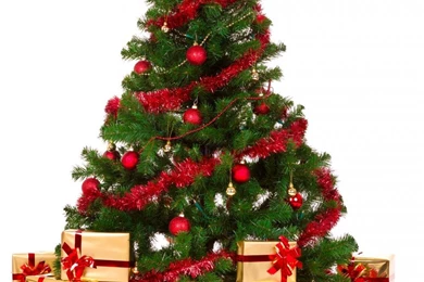 Christmas Tree Picture Wallpapers