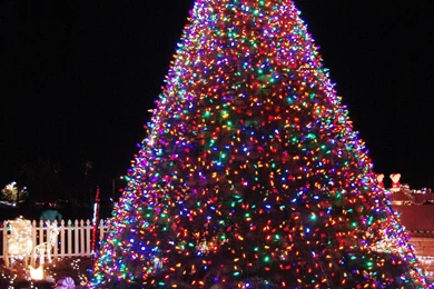 Christmas Tree Wallpapers HD Desktop