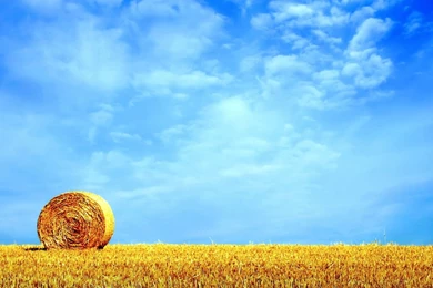 Cool, Summer ,Desktop, Wallpapers