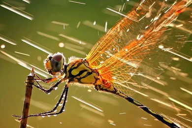 iPad Retina Wallpapers HD   Retina Ready, Stunning Wallpapers