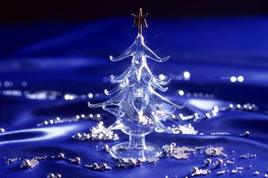 Christmas, Tree, Wallpapers (