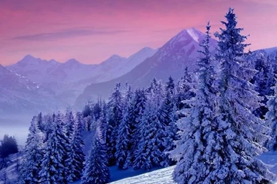 Winter Nature Iphone Wallpapers HD 6s And 6 Backgrounds ...