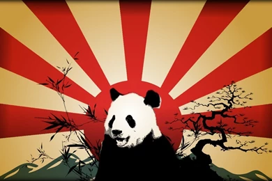 Pandas Pandas Wallpapers (16573409) Fanpop