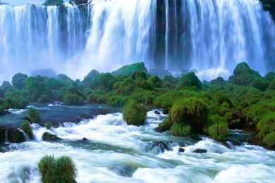 Download Beautiful Nature Wallpapers