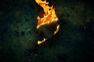 Fairy Tail Wallpapers By Orbonus On DeviantArt