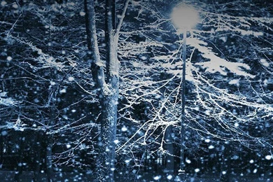 Download HD Christmas iPhone Backgrounds Free