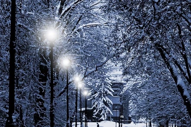 Winter park iphone new years eve christmas santa wallpaper.jpg