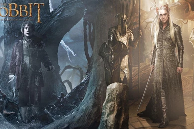 The Hobbit The Desolation Of Smaug Bilbo And Thranduil (id: 185041 ...