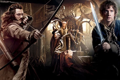 The Hobbit: The Desolation Of Smaug Wallpapers   Movie Wallpapers ...