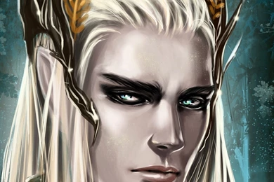 Download Wallpapers 2048x2048 The Hobbit The Desolation Of Smaug ...