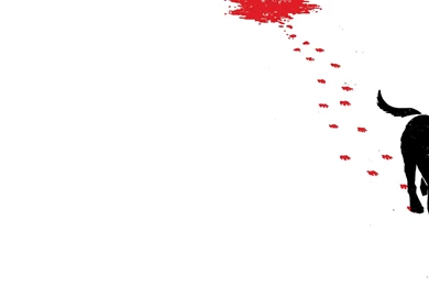 Hawkeye Computer Wallpapers, Desktop Backgrounds