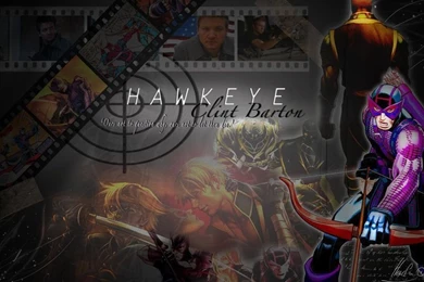 Hawkeye Wallpapers ::. By LadyHachi On DeviantArt