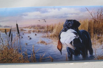 Dog Wallpapers Border