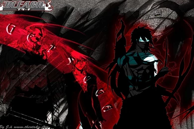 8168 Bleach HD Wallpapers