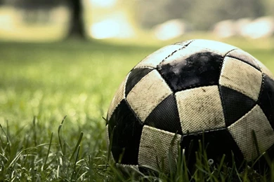 Top Soccer Wallpapers Hd 2013 Images For Pinterest