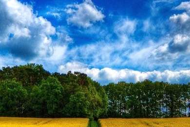 Natural_Wallpaper_for_iPhone_Backgrounds_iPhone_5_Pictures_Wallpapers_and_Backgrounds 141.jpg