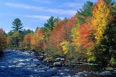 Free Desktop Wallpapers Fall Scenes