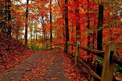 Fall Computer Wallpapers, Desktop Backgrounds