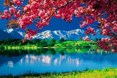 Nature HD Wallpapers