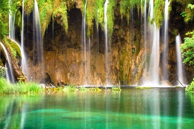 Free Nature Wallpapers Download With Jungle And Waterfall Picture ...