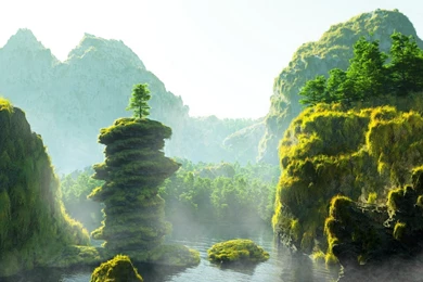 84 Jungle HD Wallpapers