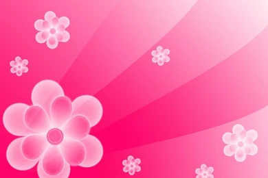 Pink Backgrounds Wallpapers