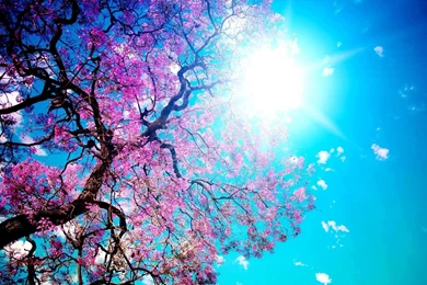 Teal And Pink Wallpapers   Wallpapers HD Wide