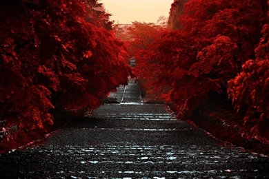 Full HD Japanese Scenery Wallpapers