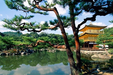Kinkaku ji Temple Kyoto Japan.jpg