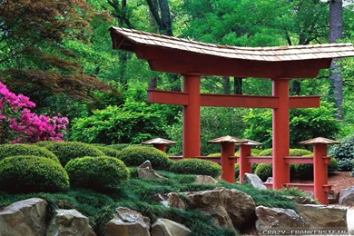 Spring In Japan Wallpapers   Crazy Frankenstein