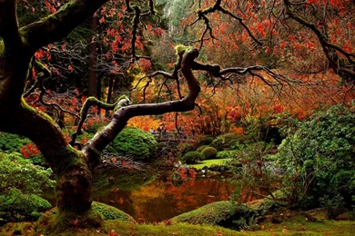 Japanese Garden Wallpaper Images