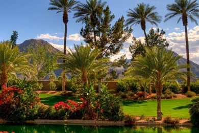 Wallpapers Garden Girl Digital Japanese Hd Greeny For Computer ...