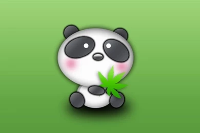 Panda Wallpapers   HD Images New
