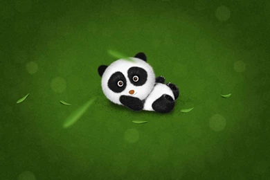 Cute Panda Backgrounds
