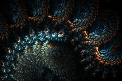 Coral Reef HD Wallpapers   Coral Reef Photos, New Wallpapers