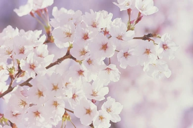 2015 10 02   Page 90