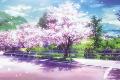 Cherry Blossoms Animated Wallpapers Http://www.desktopanimated.com ...
