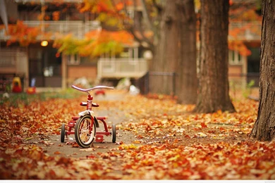 Best Autumn 2015 wallpaper.jpg