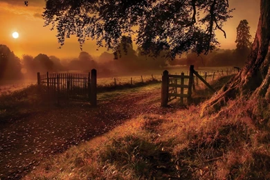 Autumn Landscape Wallpapers