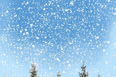 Aliexpress.com : Buy 1.25(W)x1.5(H)m Scenic Snow Backgrounds ...