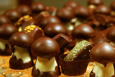 Chocolate Mushroom Field Chocolate Wallpapers