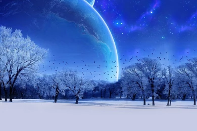 Magical Winter Forest Twitter Backgrounds   Twitterevolutions