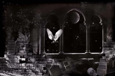 REVISED MAGICAL OWL PREMADE BACKGROUND By VaLeNtInE DeViAnT On ...