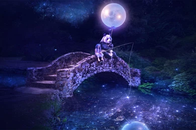 Top Fanatsy Magical Night Images For Pinterest