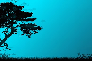 HD Wallpapers 1920x1080