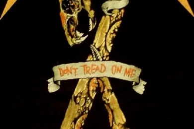 Download Free Music Wallpapers Metallica With Size 640x960 Pixels ...