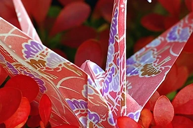 Origami iPhone 5s Wallpapers